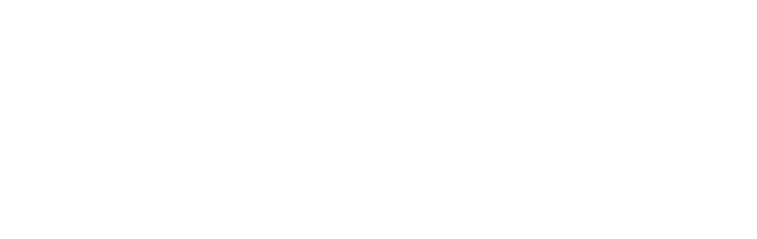 NovaStar logo (white)